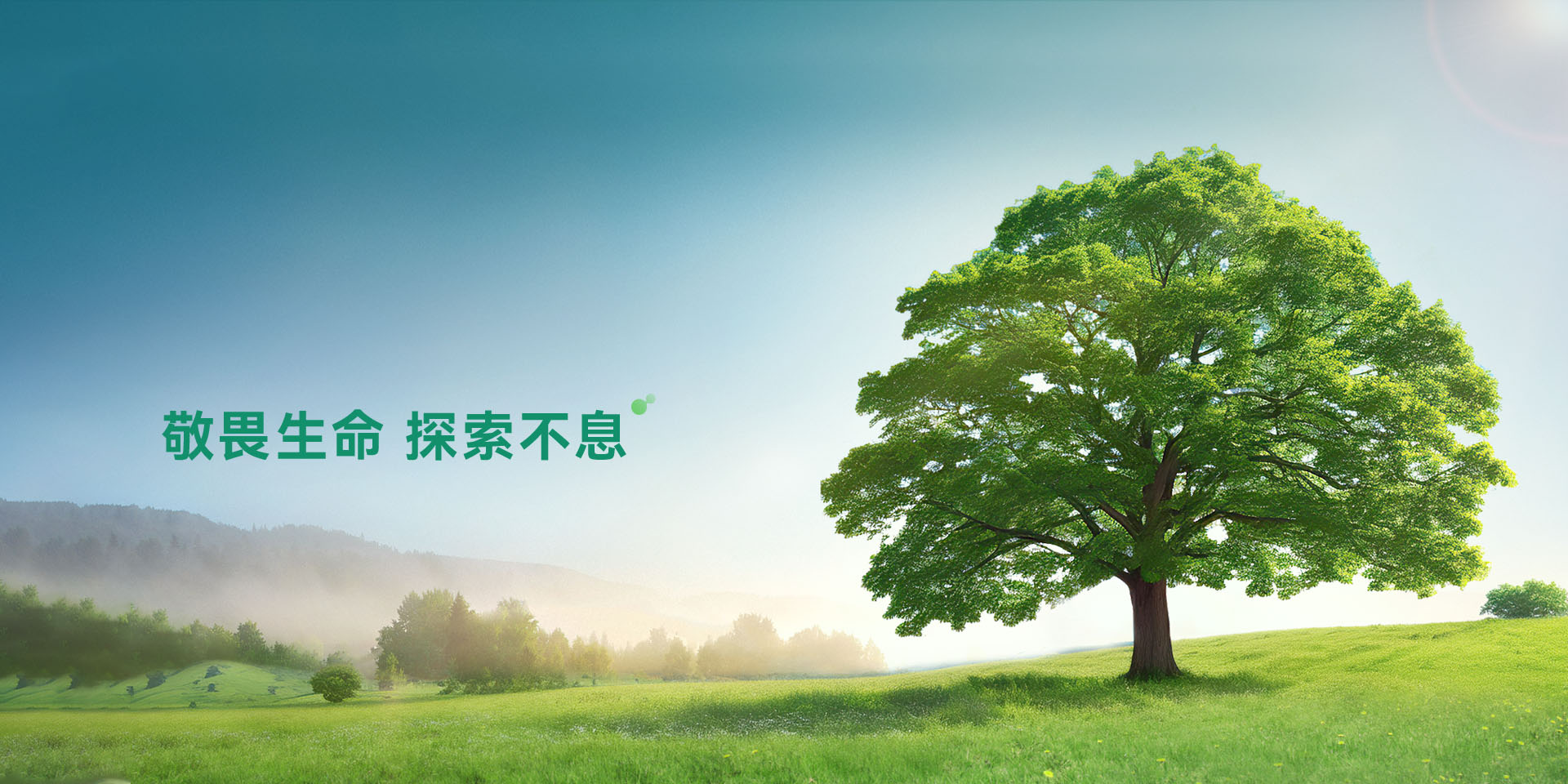 中文1.jpg
